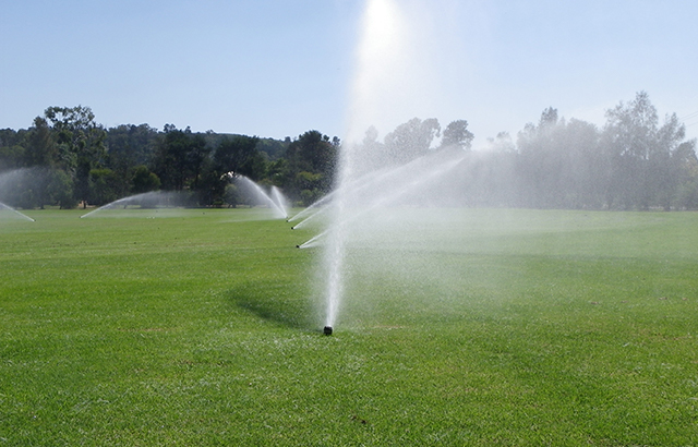 Garden Water Spray